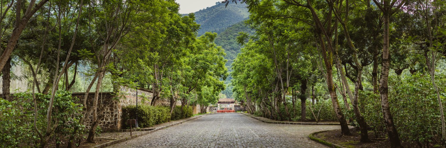 Timothy Hoiland banner