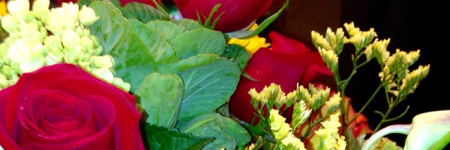 Francygonzalez's profile banner image