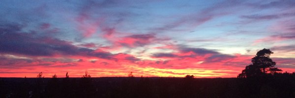 angelo_antonini Profile Banner