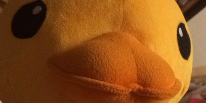 roger00696's profile banner image