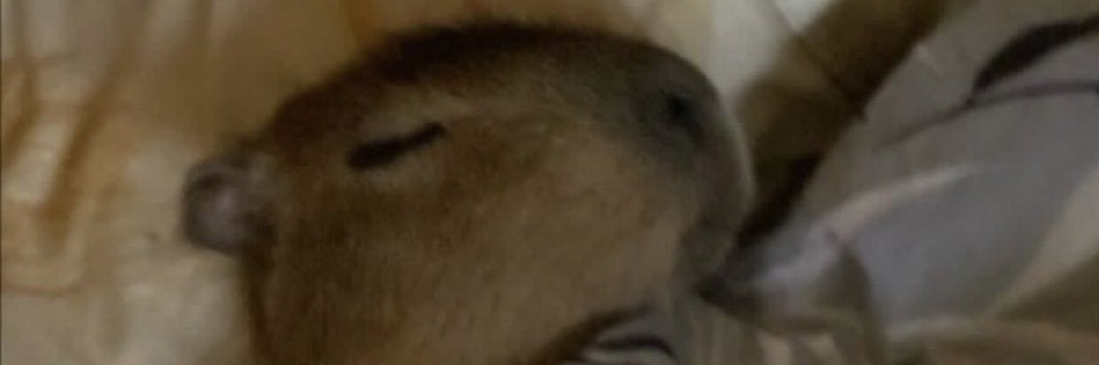 marcosdmm's profile banner image