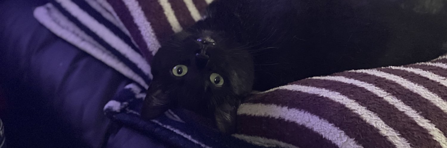 Shane Harrington banner