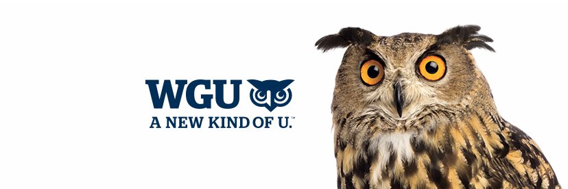 BobCollinsWGU's profile banner image