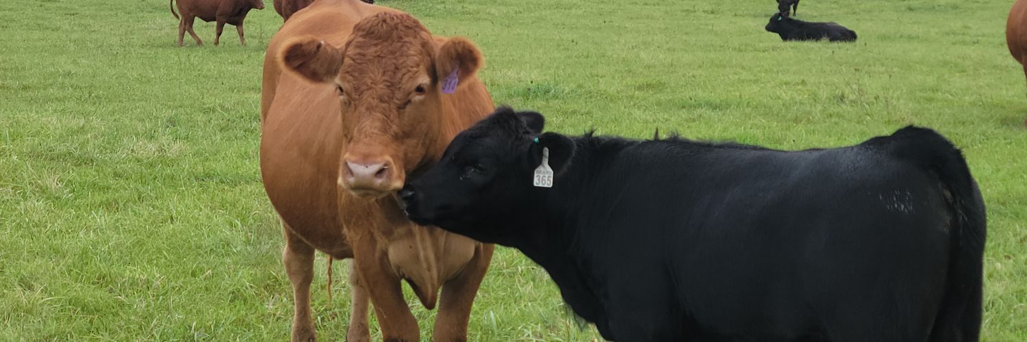 bflfarms's profile banner image