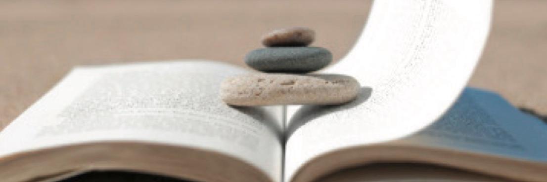 Marilyn Pryle banner