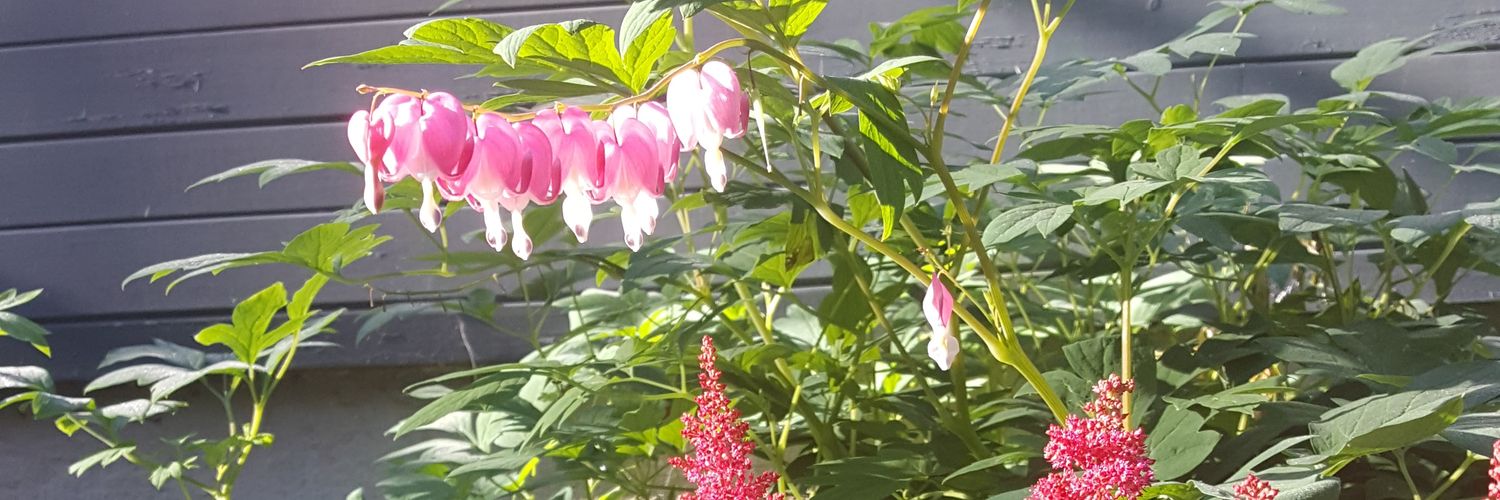 1BluElew's profile banner image