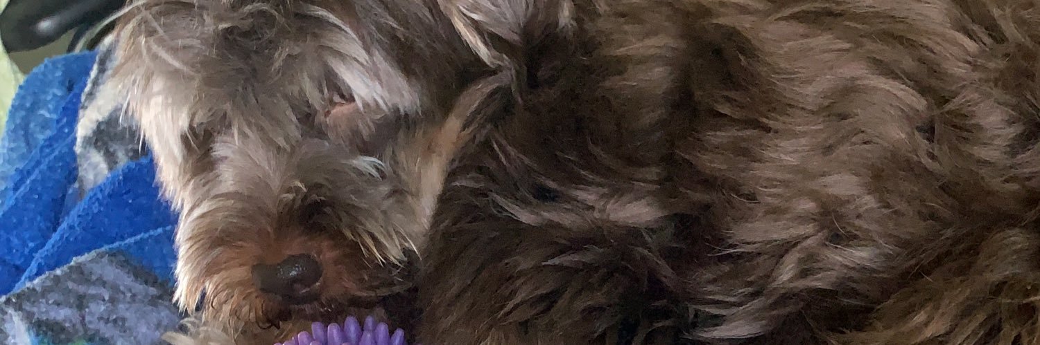 oliveiramp__'s profile banner image