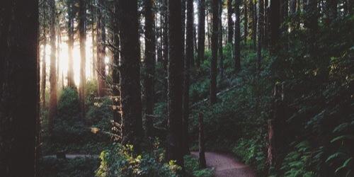 beyonddevotion's profile banner image