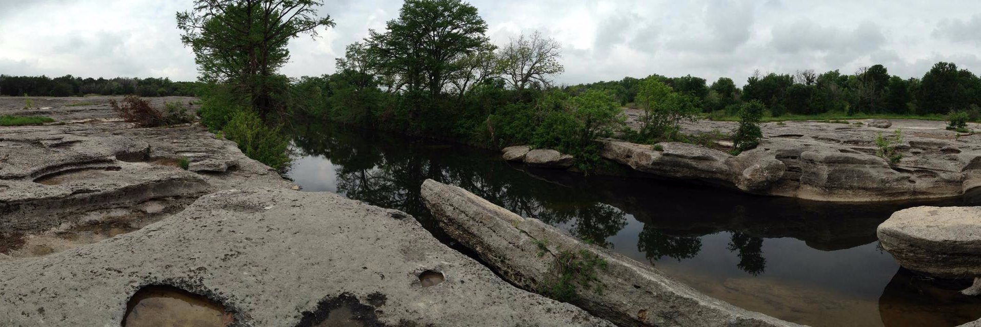 Chelsea Davis banner