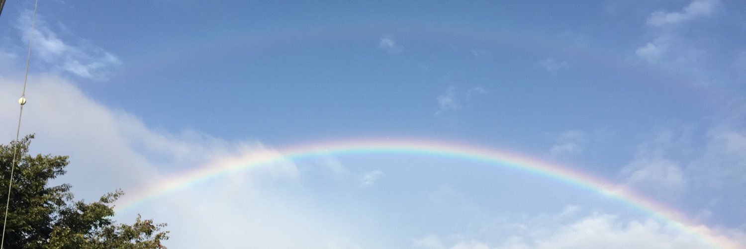 dctmari4649's profile banner image