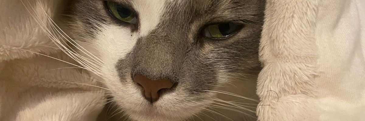 marininae's profile banner image