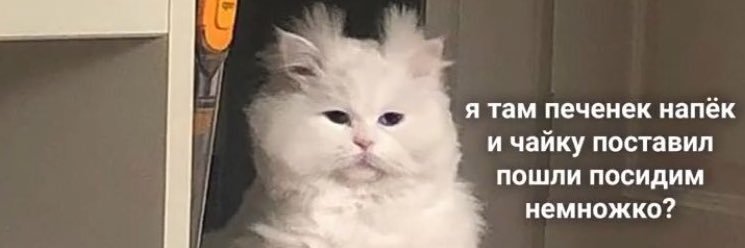 wundervolkova's profile banner image