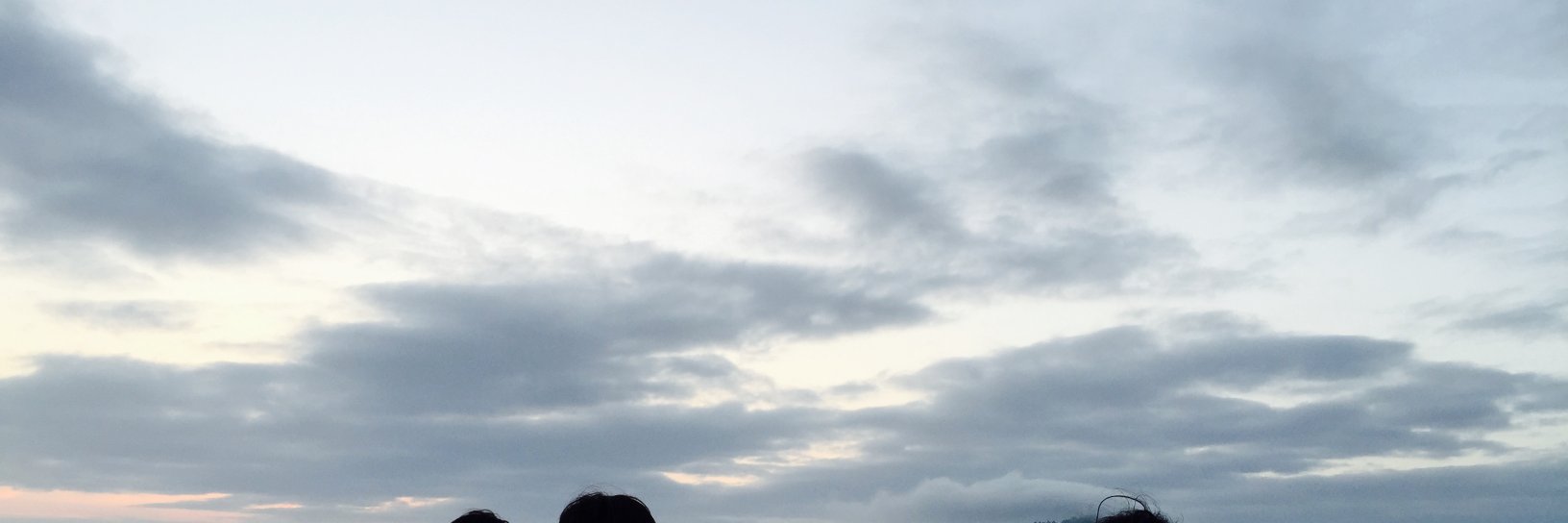 candidi_note's profile banner image