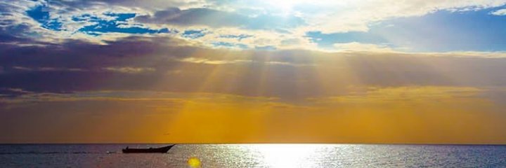 marimaestre's profile banner image