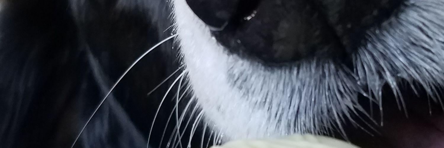 snapoutofit52's profile banner image
