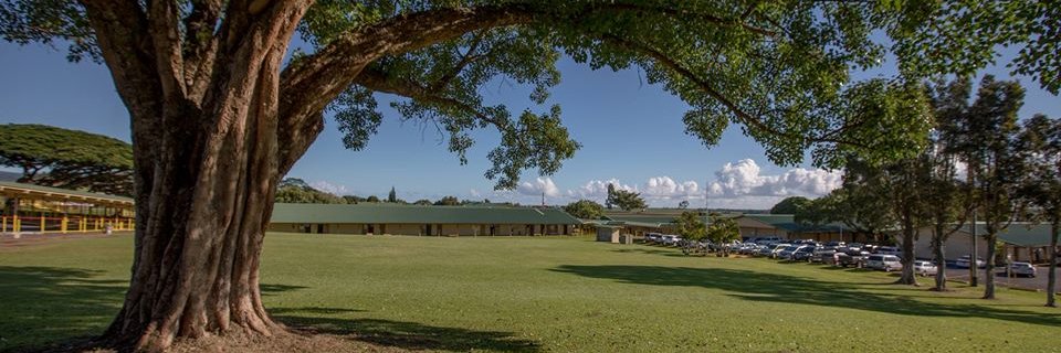 WaiakeaTitans's profile banner image