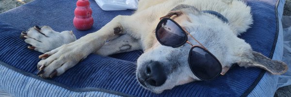 profobsesif Profile Banner