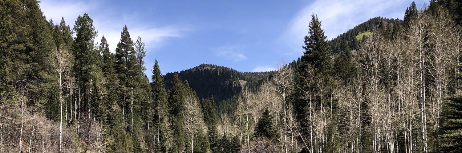 R_Whitt's profile banner image