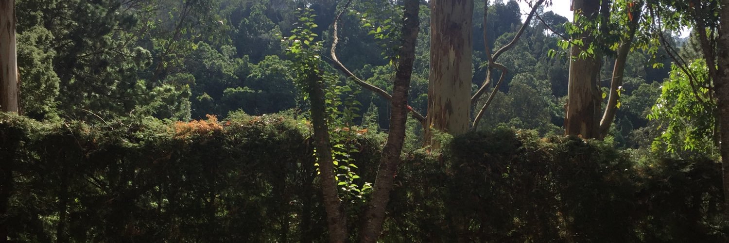 B05551's profile banner image
