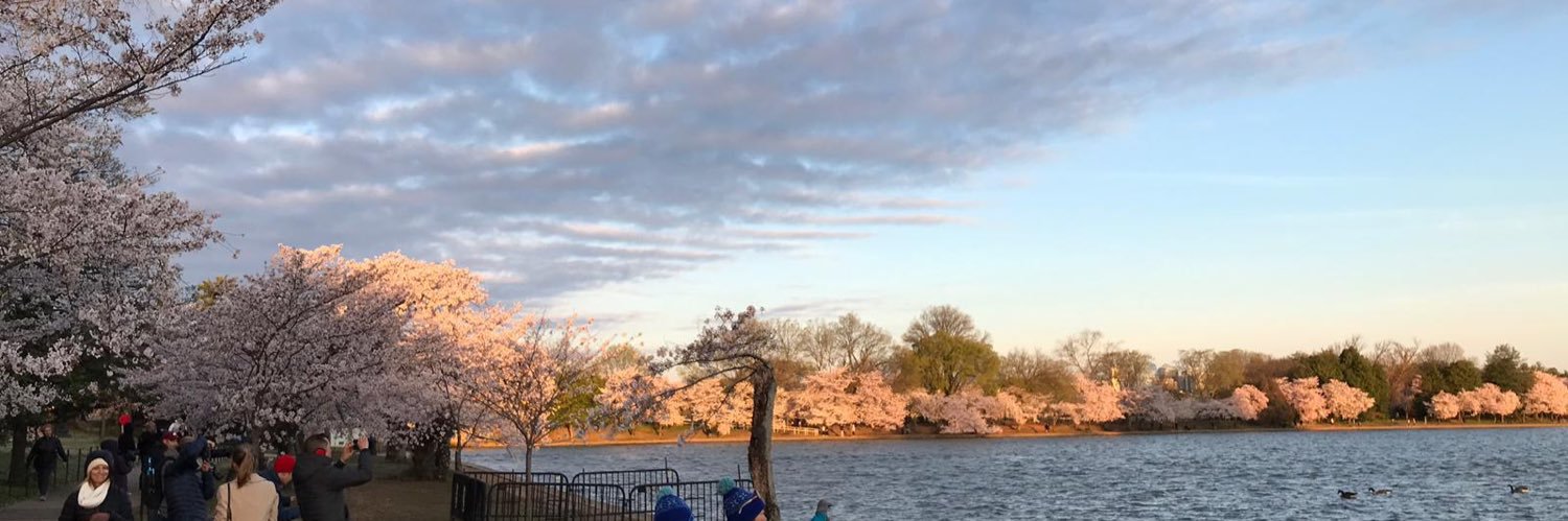 mathieuinDC's profile banner image