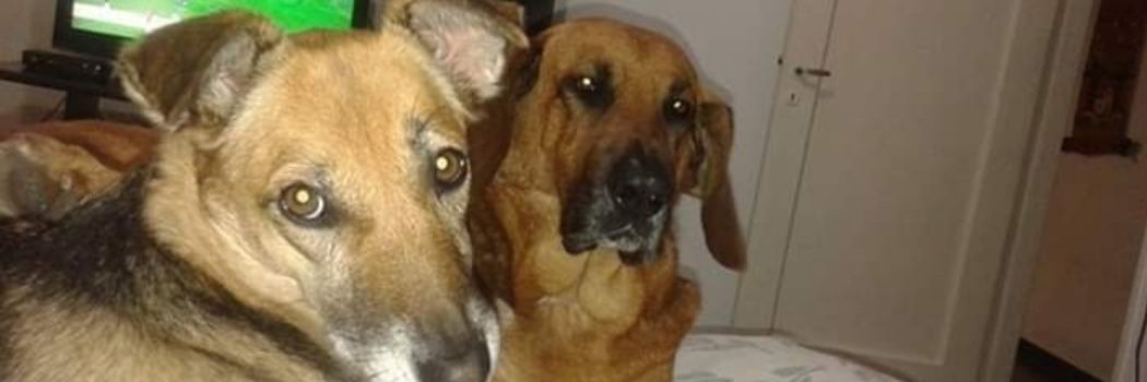 Erica cuerva (cuervita y sayer 🥰) banner