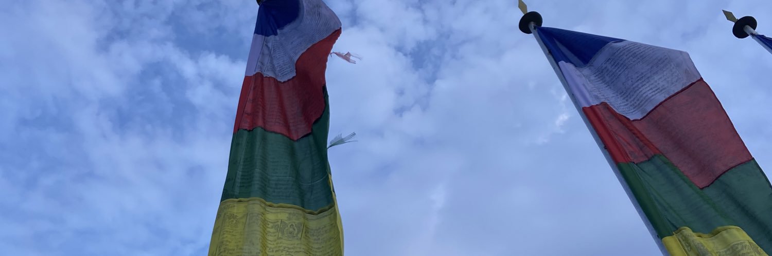 Tenyzin's profile banner image