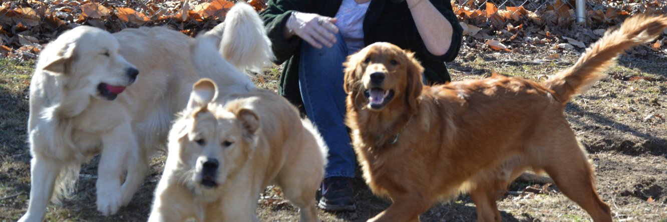 searly02's profile banner image