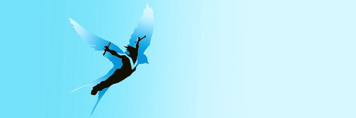 FlyFromFalling's profile banner image