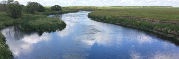 NBergbusch Profile Banner