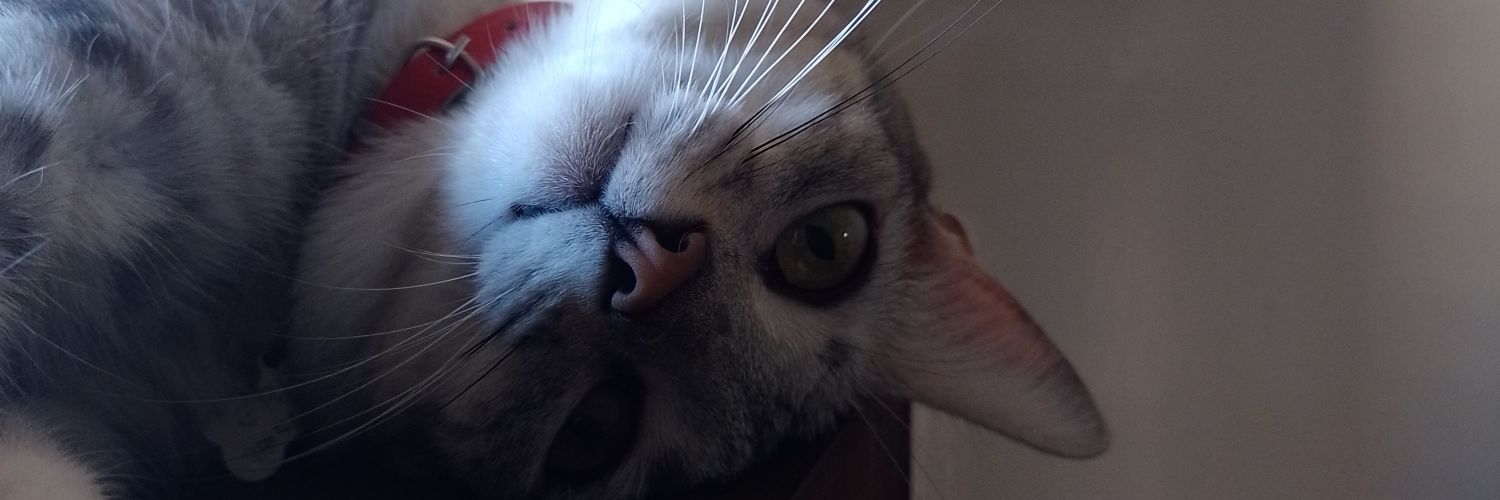 valebutta's profile banner image