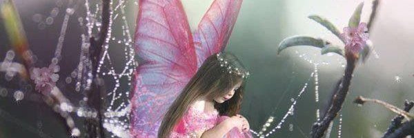 HPteach68137's profile banner image