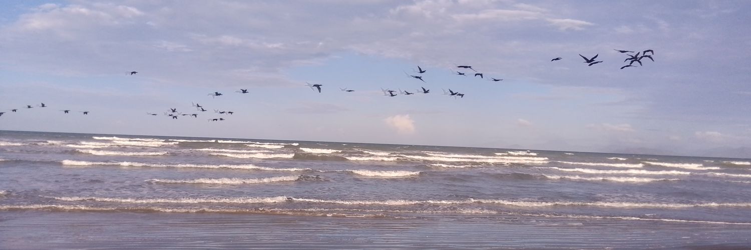 PescadorARSH's profile banner image