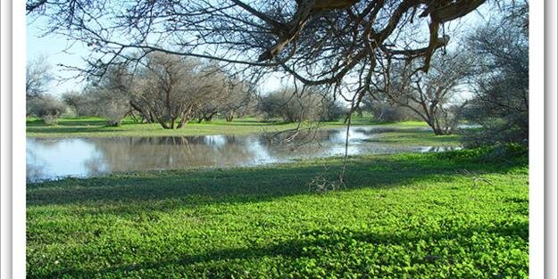 .: خالد المرشد :. banner