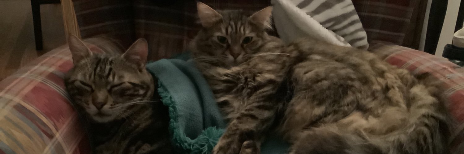 unripened almond banner