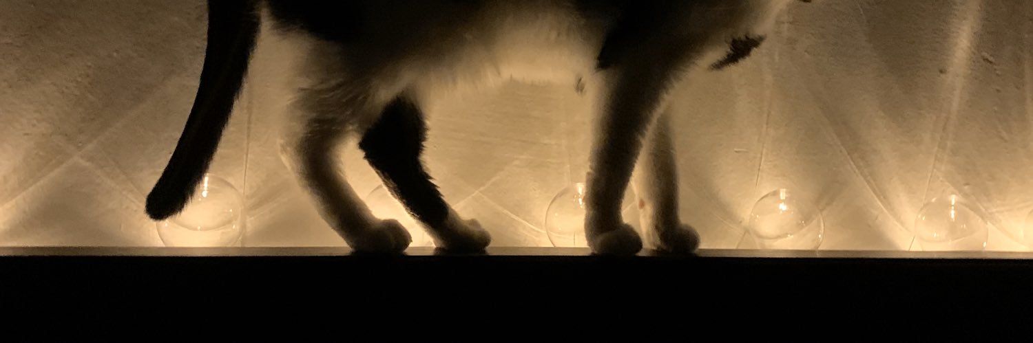 ema_tres's profile banner image