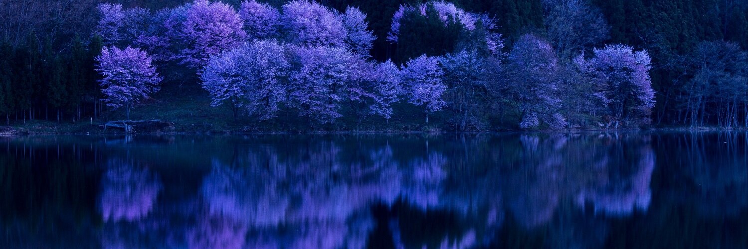 9evergreen's profile banner image