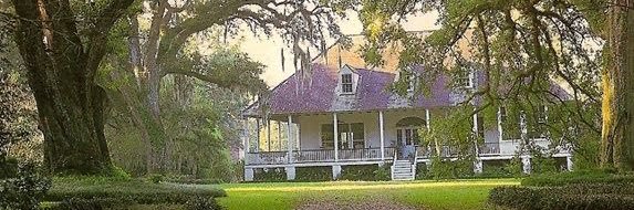 Cajun Mom 🇻🇦 banner