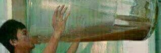 Saiful82962616's profile banner image