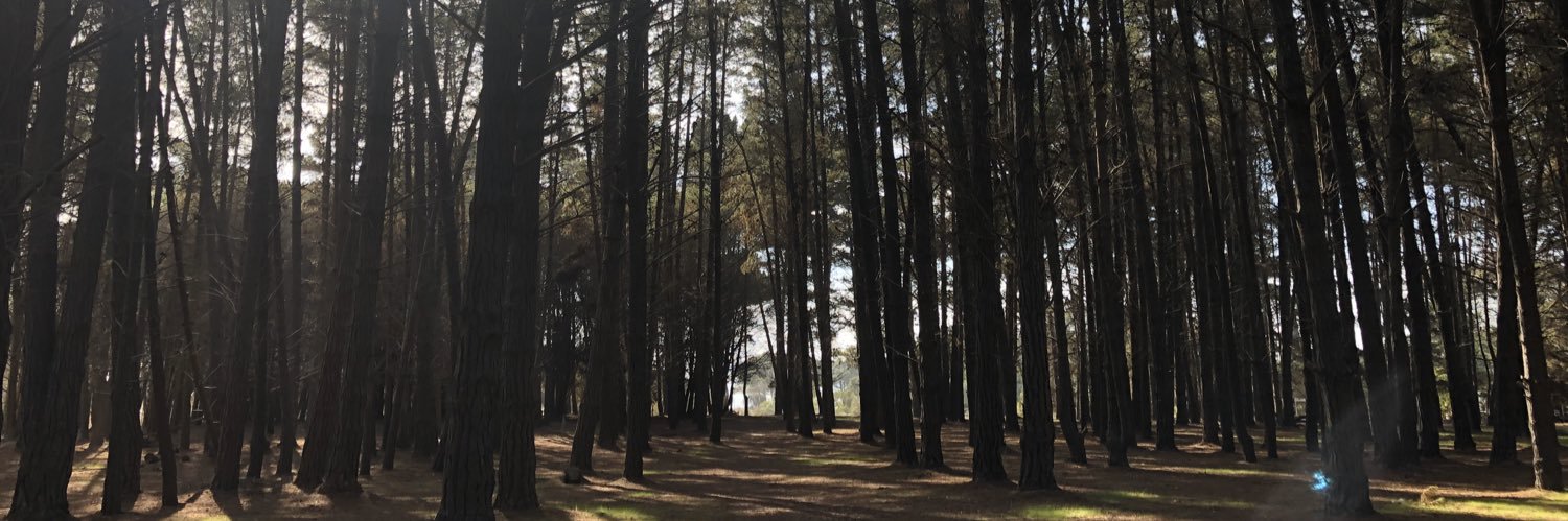 TylerHouse10's profile banner image