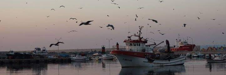 ecopuertos's profile banner image