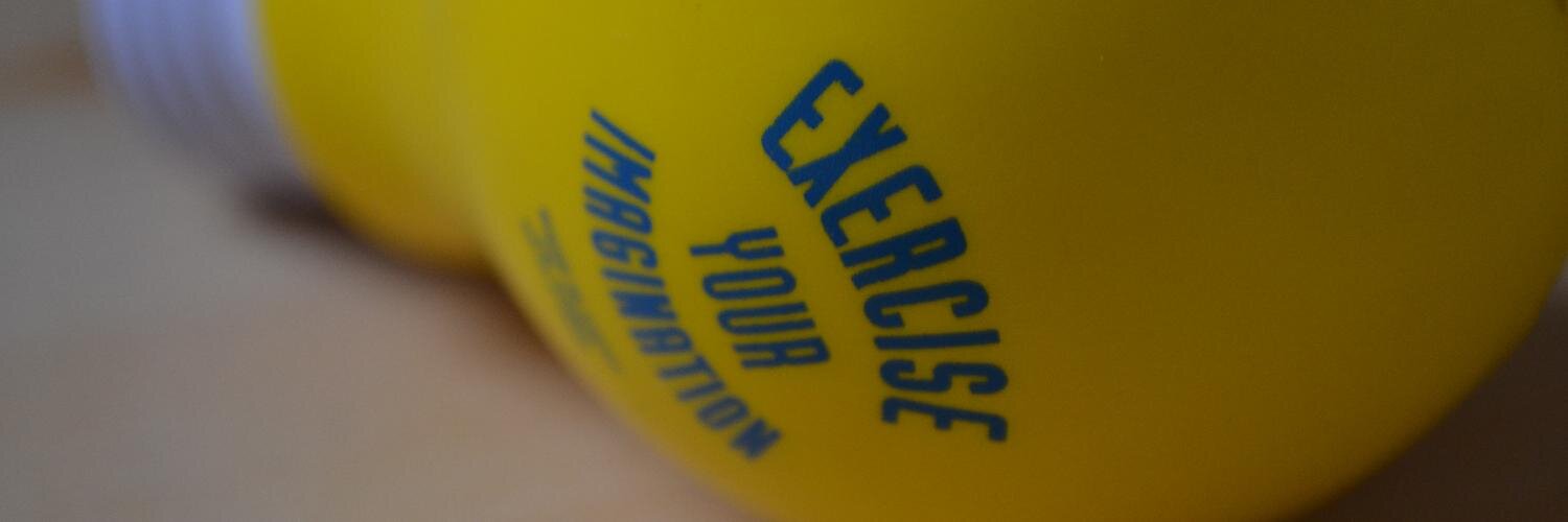 Vinicius Stein Dani banner