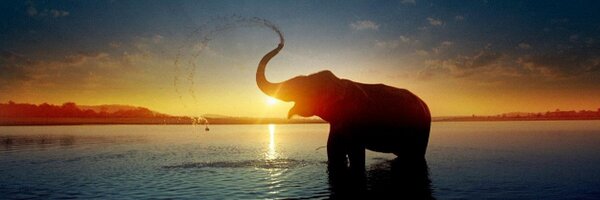 ajaym7 Profile Banner