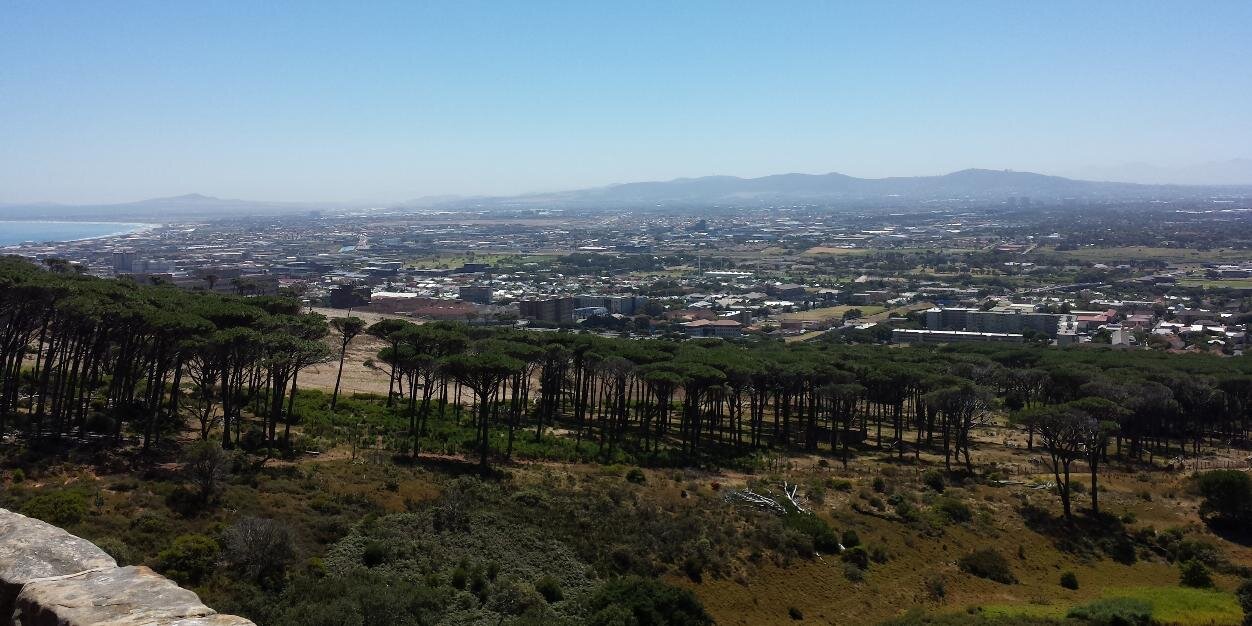 Potatowatcher 🟦🇨🇦 banner