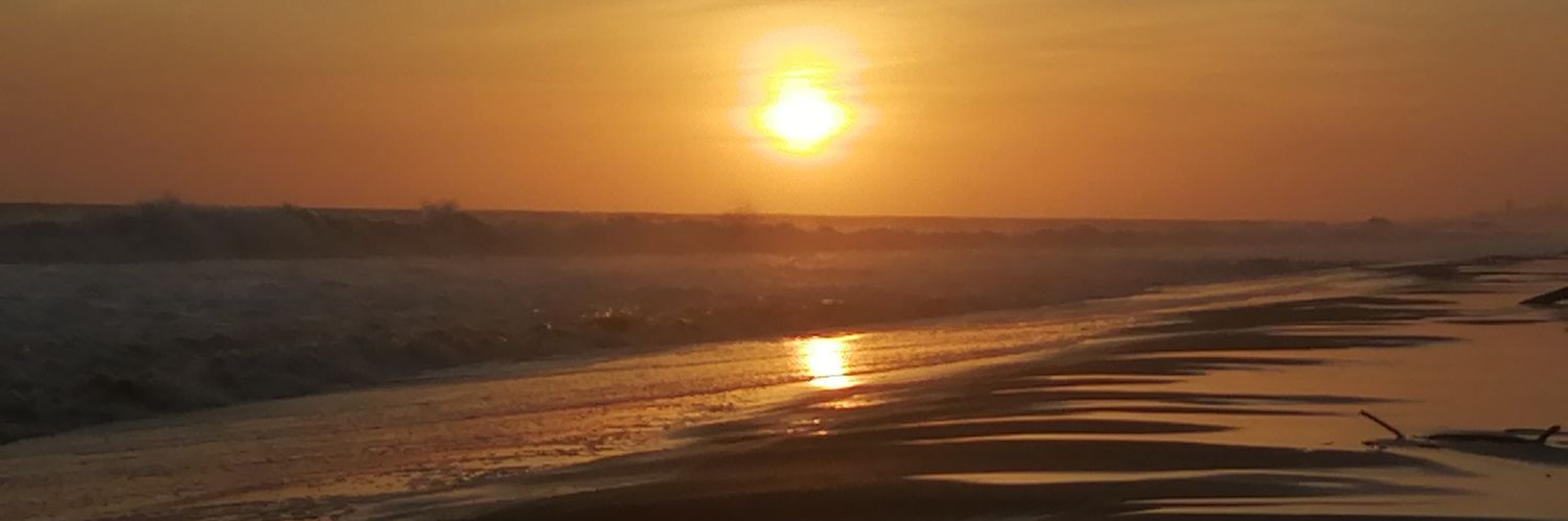 Grace Palacios banner