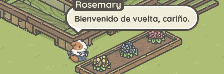 flohberon's profile banner image