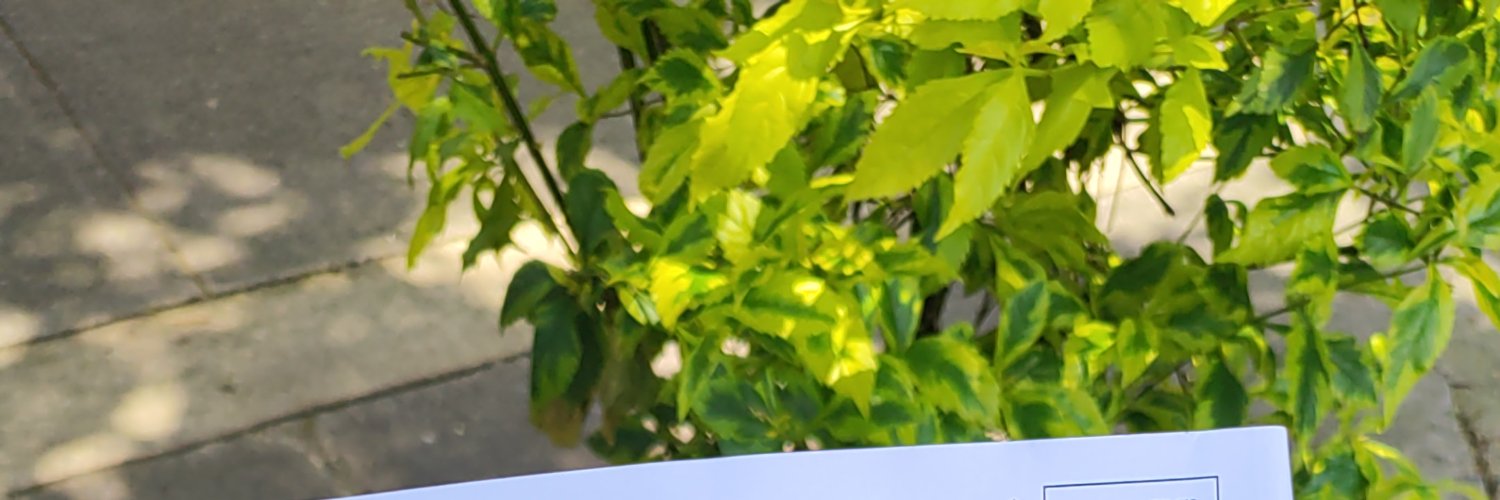 Rubyrom28986343's profile banner image