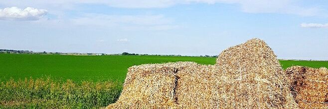 KellyPotiuk's profile banner image