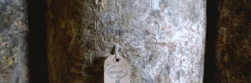 Ripe Specialty Foods banner