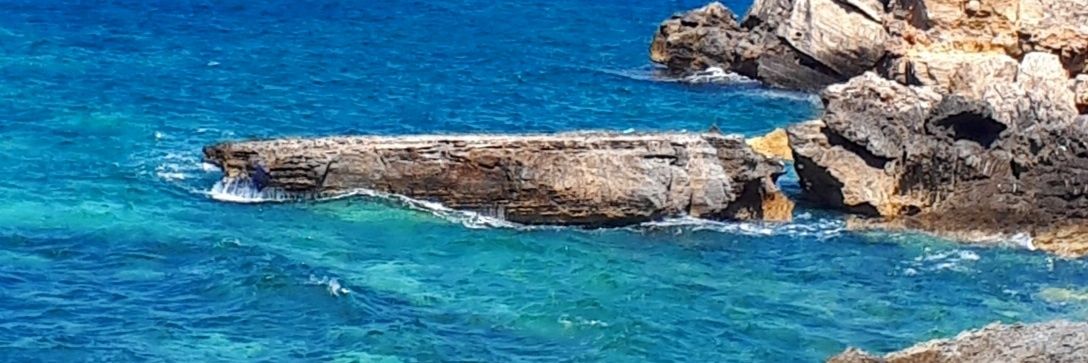 Şükran Keskin banner