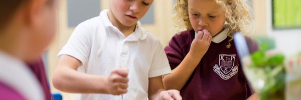 KnowlePrimary Profile Banner